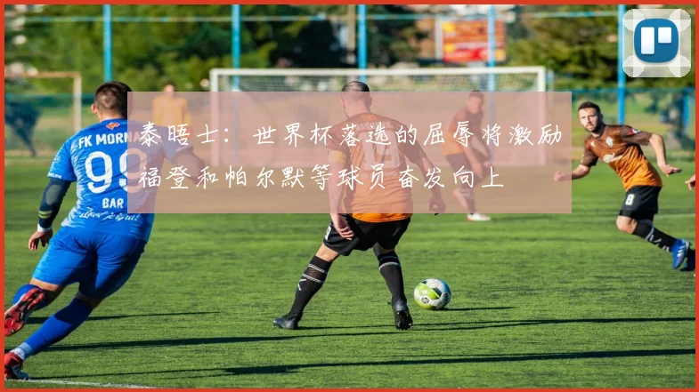 泰晤士：世界杯落选的屈辱将激励福登和帕尔默等球员奋发向上