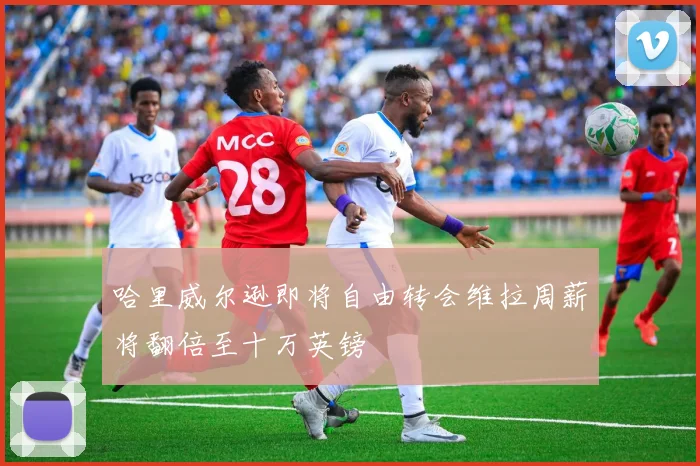 哈里威尔逊即将自由转会维拉周薪将翻倍至十万英镑