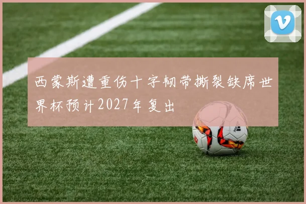 西蒙斯遭重伤十字韧带撕裂缺席世界杯预计2027年复出