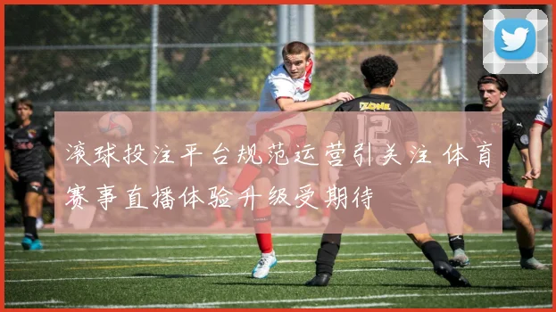 滚球投注平台规范运营引关注 体育赛事直播体验升级受期待